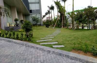 Bỏ túi địa chỉ mua đá ốp lát uy tín tại Thanh Hóa