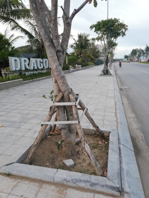 công trình mới thi công bằng đá bó vỉa