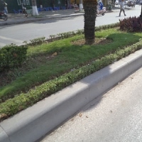 Công trình đá dải phân cách