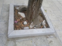 Đá bó gốc cây